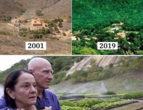COPPIA ripianta alberi per 20 anni